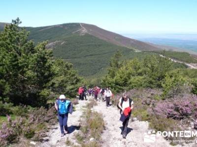 Senderismo Segovia - Macizo de la Buitrera; tiendas de senderismo en madrid